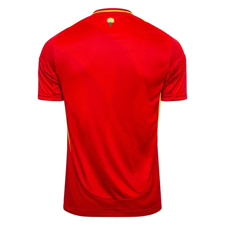 Spain 24/25 Home Kit