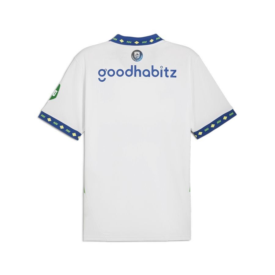 PSV Third Kit 24/25